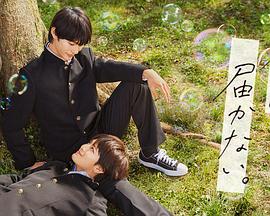 成都网络优化十年乐云seo